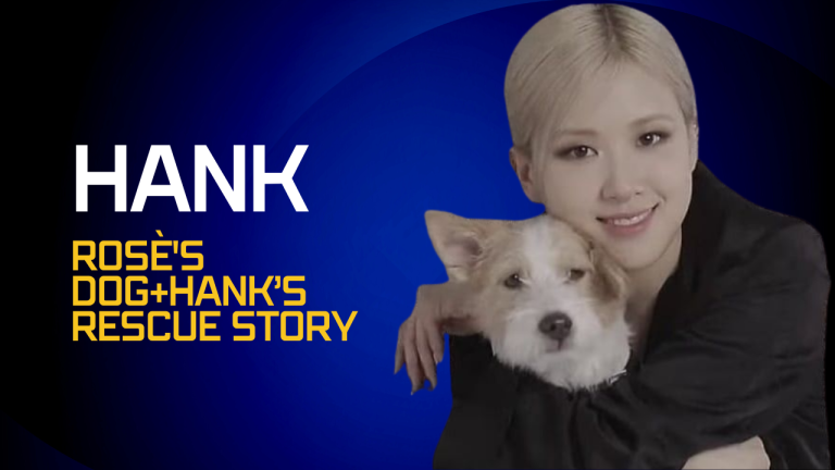 Hank(Rosè’s Dog+Hank’s Rescue Story)