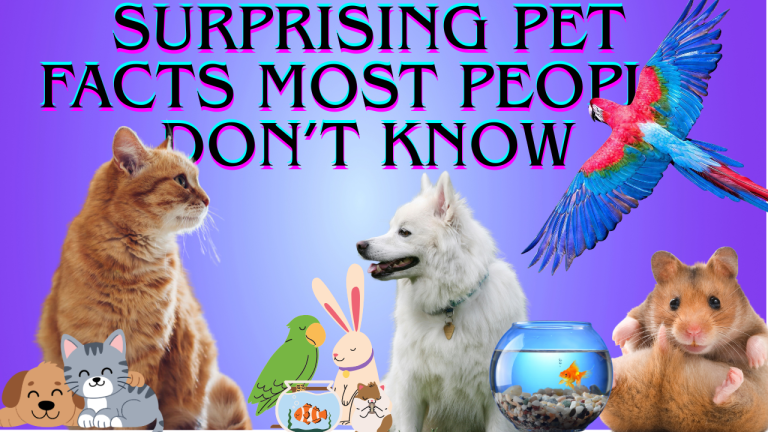 Surprising Pet Facts Most People Don’t Know