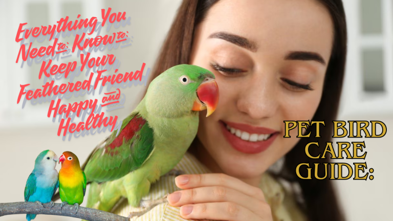Pet Bird Care Guide: Everything You Need to Know to Keep Your Feathered Friend Happy and Healthy